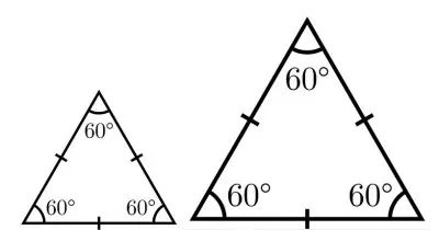 similar equilateral triangles (not congruent)